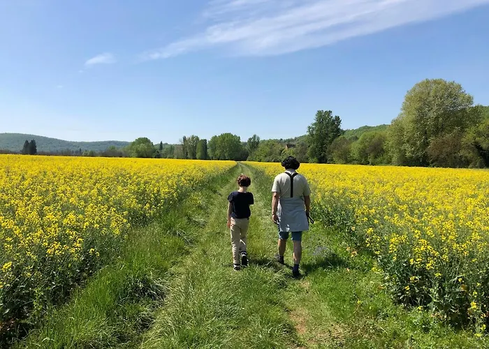 La Cour De La Fleunie 1 Feriehus La Machome